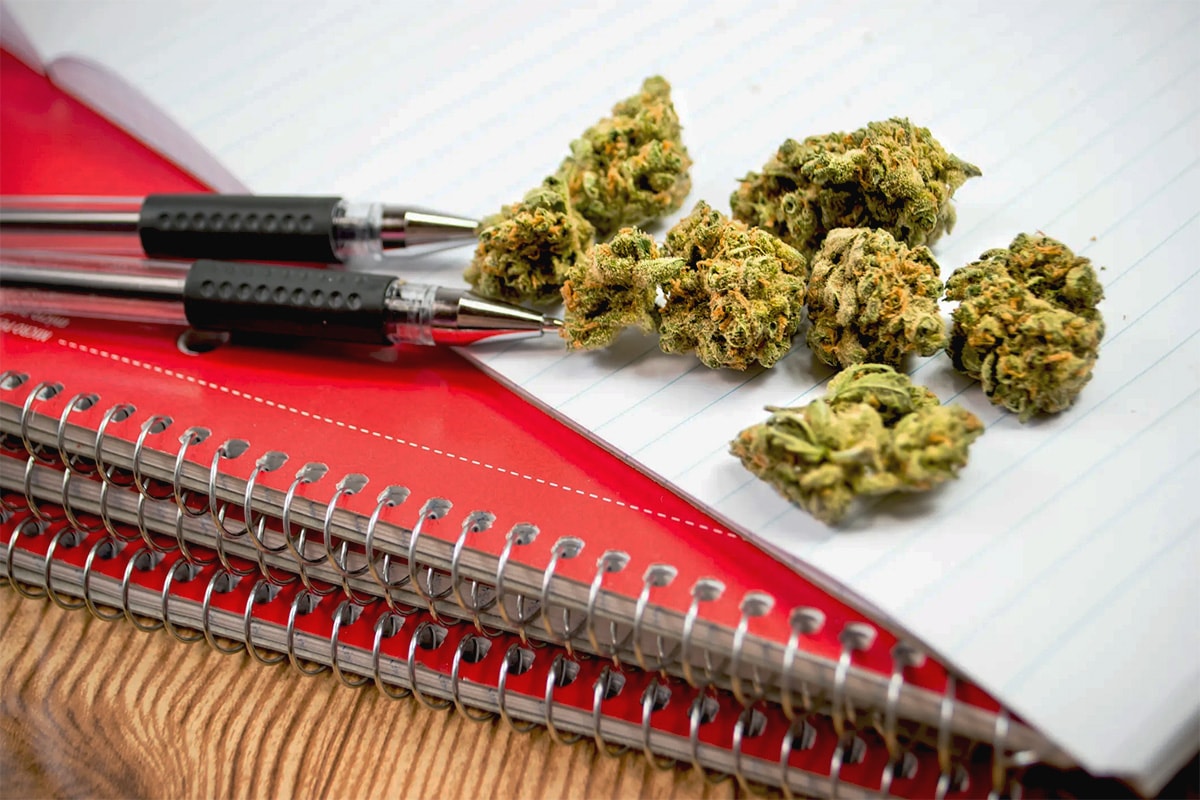Aumenta entre los jóvenes el consumo de cannabis y tabaco