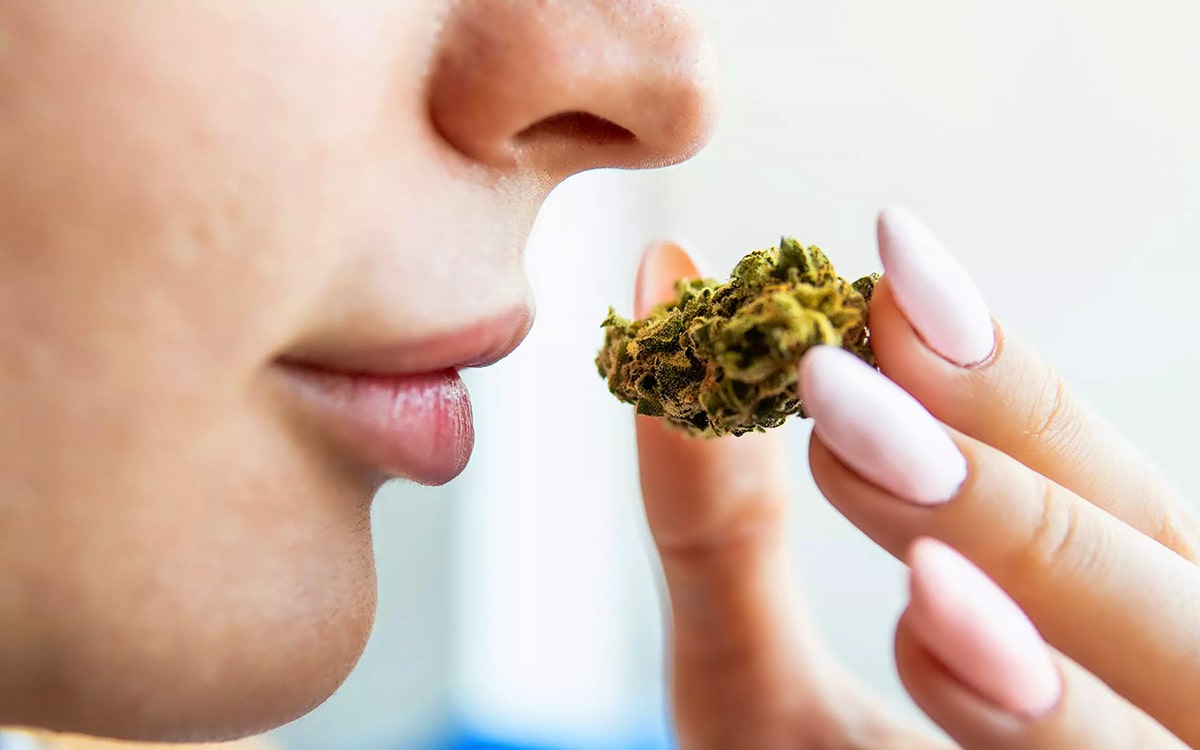 El interior de la nariz de los consumidores de cannabis se parece al de los enfermos mentales