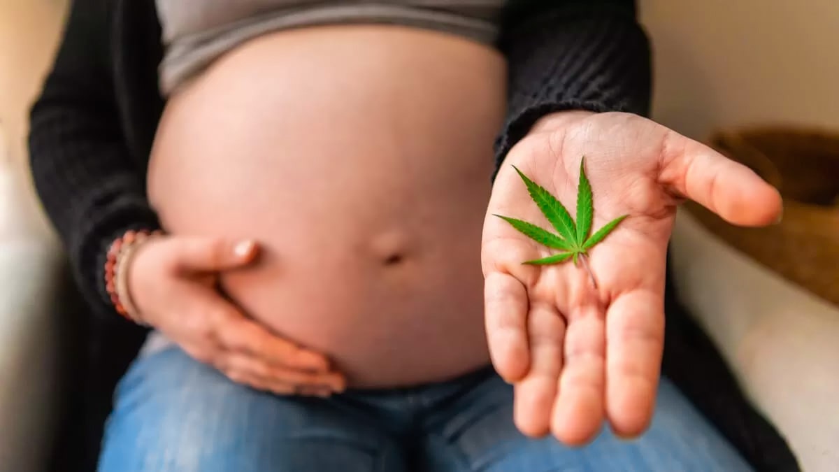 Si consumes cannabis durante el embarazo tu hijo tiene un mayor riesgo de ser autista